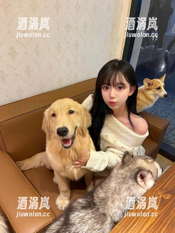 朝阳的瓜一个接一个，51黑料ios贼过瘾！
